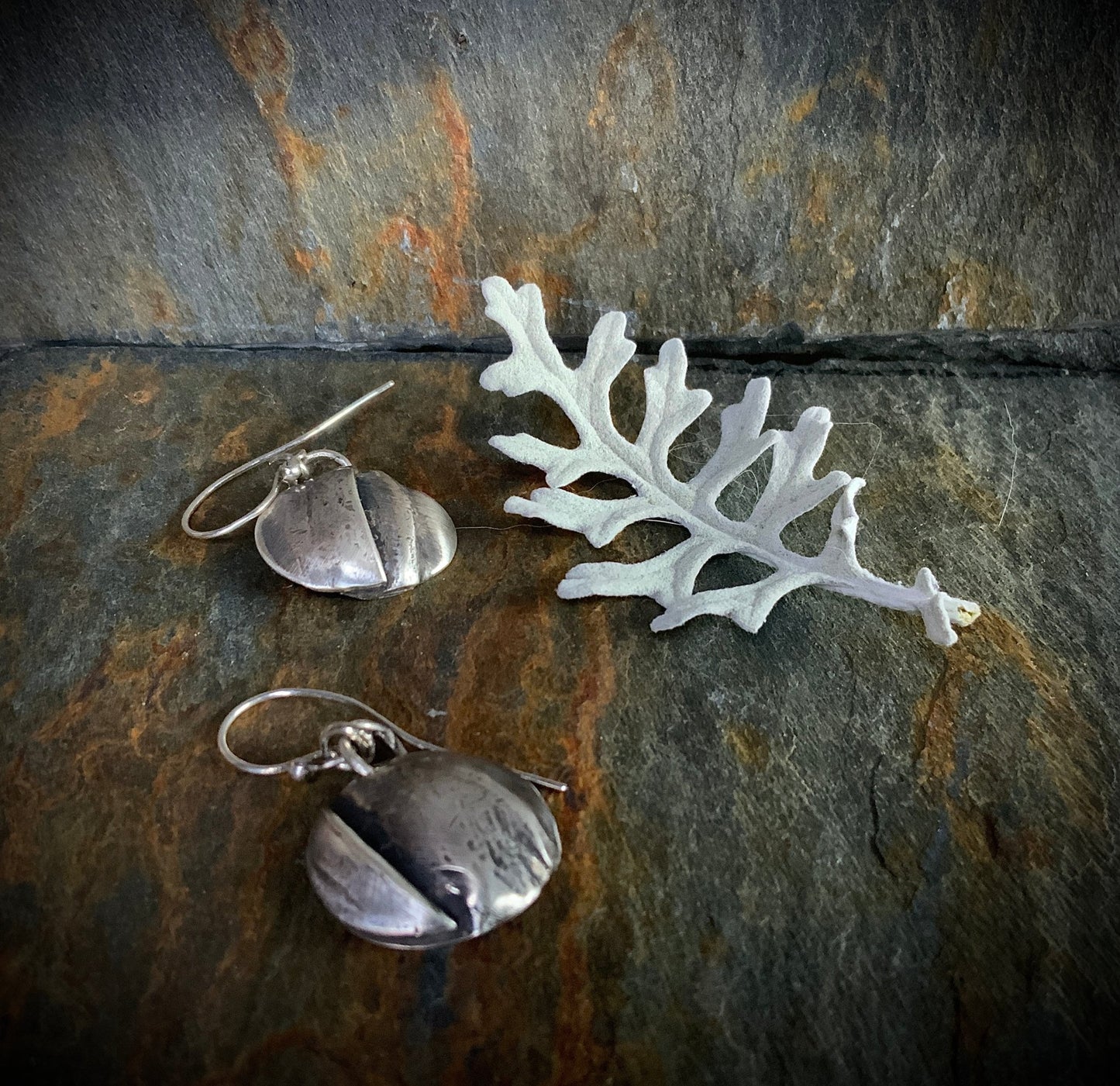 Silver Fold Form Disc Dangle Earrings - Evitts Creek Arts
